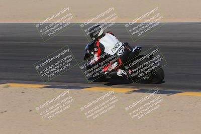 media/Nov-11-2023-SoCal Trackdays (Sat) [[efd63766ff]]/Turn 10 Inside (120pm)/